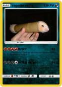 ragodin.explo