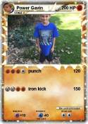 Power Gavin
