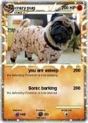 crazy pug