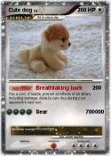 Cute dog