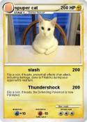 spuper cat