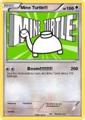 Mine Turtle!!!