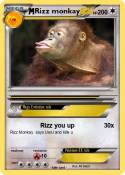 Rizz monkay