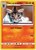 This cat is on