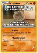 fat cat dises