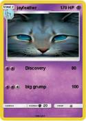 jayfeather