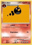 Black Bird