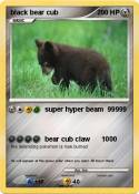 black bear cub