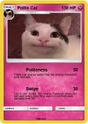 Polite Cat