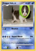 Frogger Kat