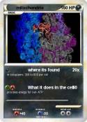 mitochondria