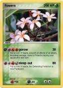 flowers