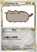 Pusheen cat