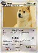 Doge