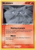 Mr.whiskers