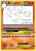 Trogdor!!!