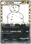 FAT SNOW