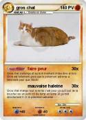 gros chat