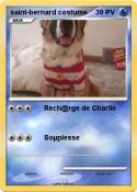 saint-bernard