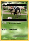 mouton rugby