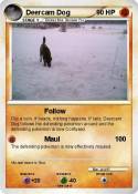 Deercam Dog