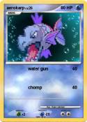 aerokarp