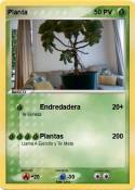 Planta