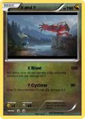 X and Y