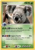 koala