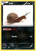 Snail