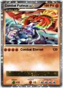 Combat Furieux