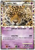 maitre tigre