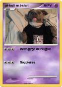pit-bull en