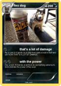 flex dog