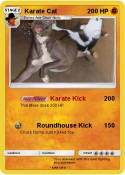 Karate Cat