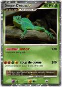 Dragon D'eau