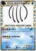 TRITON GROUP