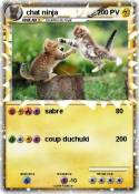 chat ninja