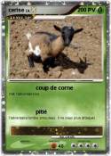 cerise