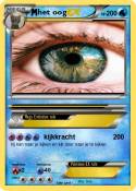 het oog