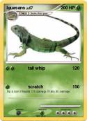 Iguasans