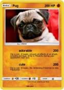 Pug