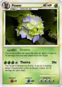 Flower