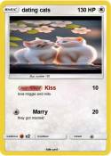 dating cats