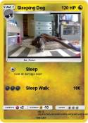 Sleeping Dog