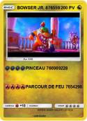 BOWSER JR. 8765