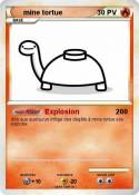 mine tortue
