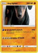dog fighter