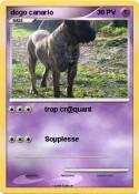 dogo canario