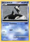 ORCA WHALE!